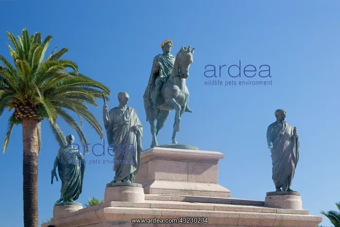 : France, Corsica. Statue of Napoleon at Place : France, Corsica. Statue of Napoleon at Place