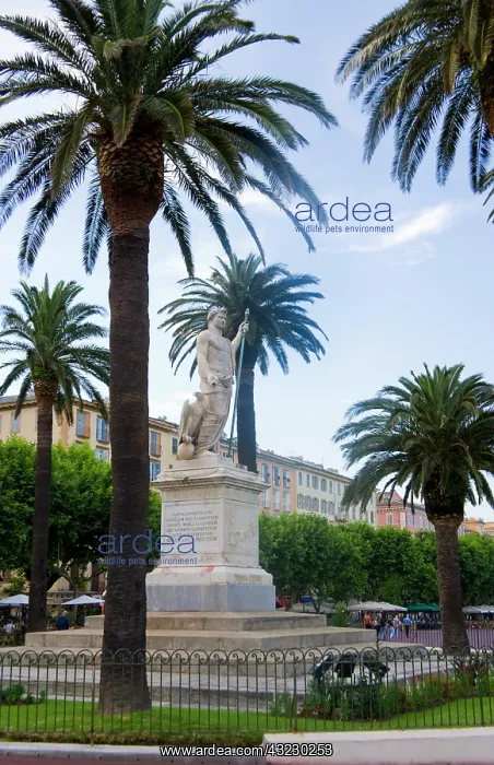 : France, Corsica. Statue of Napoleon at St : France, Corsica. Statue of Napoleon at St