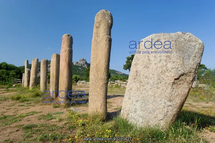 : France, Corsica. Stone alignment of I Stantari : France, Corsica. Stone alignment of I Stantari