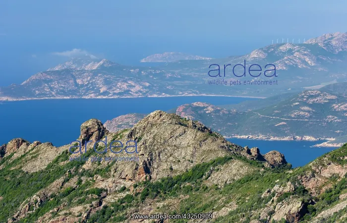 : France, Corsica. View from summit along : France, Corsica. View from summit along