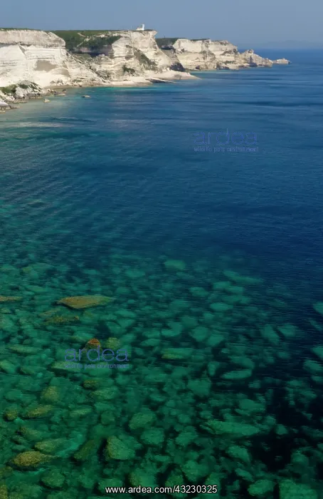 : France, Corsica. View of white limestone : France, Corsica. View of white limestone