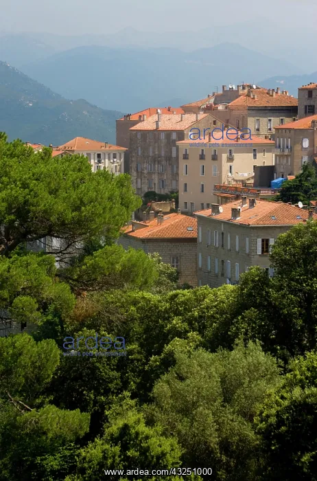 : France, Corsica. Village of Sartene : France, Corsica. Village of Sartene