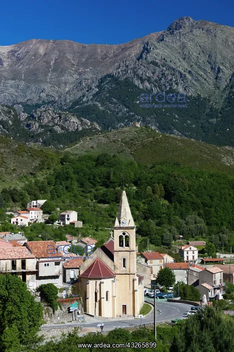 : France, Corsica, Vivario, elevated town : France, Corsica, Vivario, elevated town