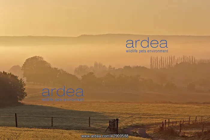  : France - Countryside in Esprels
