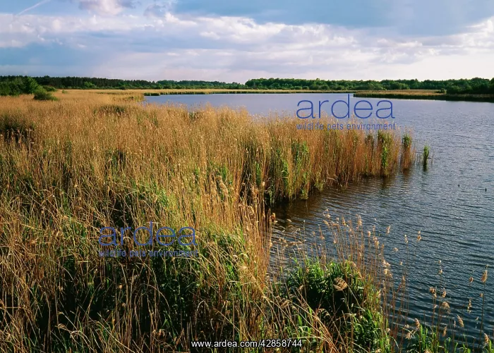 : France - Domaine de Cherine Reserve : France - Domaine de Cherine Reserve