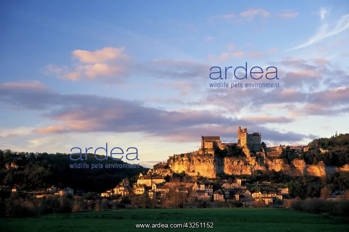 : France, Dordogne. Beynac : France, Dordogne. Beynac