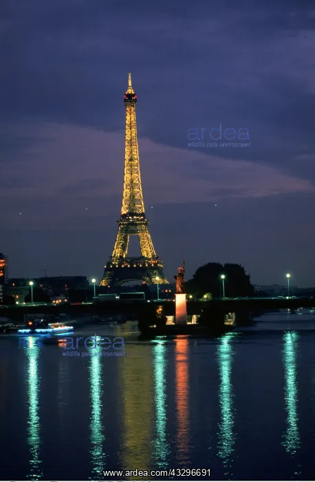 : FRANCE - Eiffel Tower - at night : FRANCE - Eiffel Tower - at night