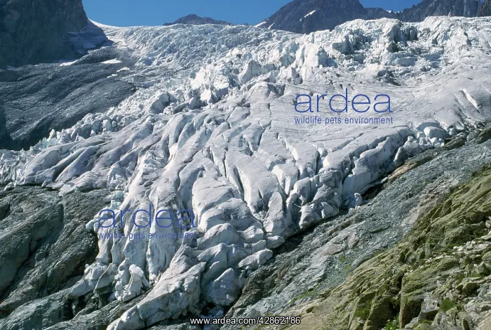  : France - Glacier Blanc