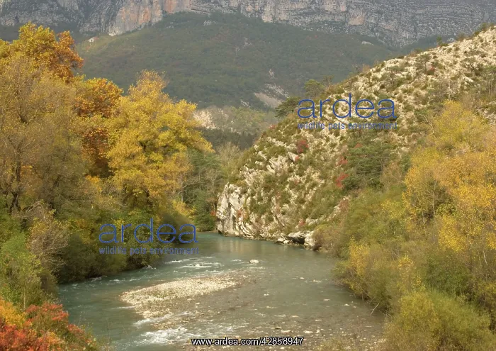  : France - Gorge du Verdon, Provence-Alpes, in autumn