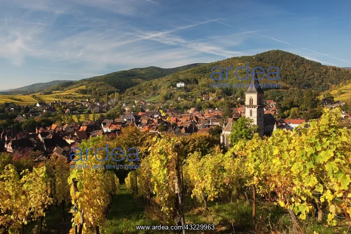  : France, Haut-Rhin, Alsace Region, Alsatian