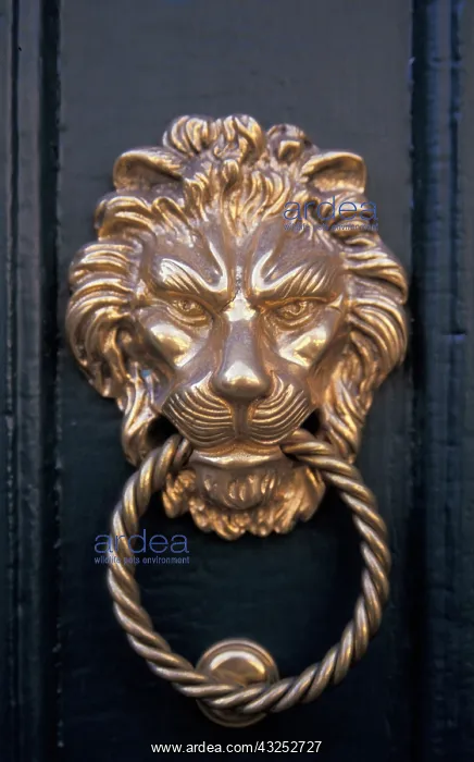 : France, Jura, Poligny. Ornate lion head : France, Jura, Poligny. Ornate lion head