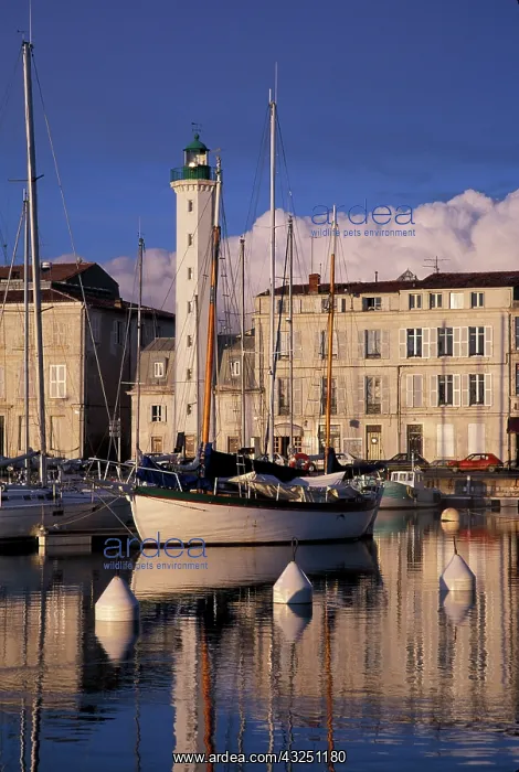 : France, La Rochelle. Bassin a Flot, lighthouse : France, La Rochelle. Bassin a Flot, lighthouse
