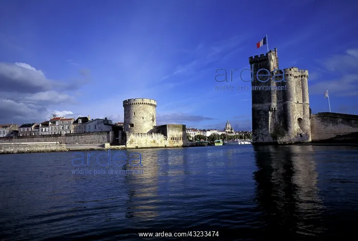  : France. La Rochelle, Old Port. Tour de la