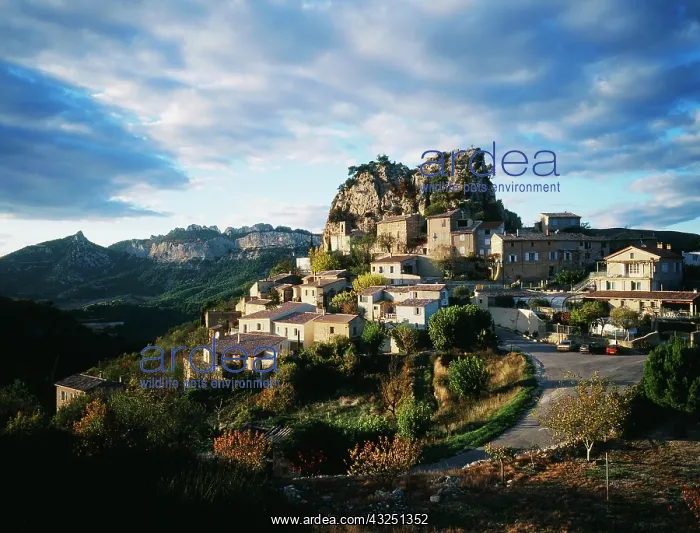 : France, La Roque-Alric, Vaucluse, Provence-Alpes-Cote : France, La Roque-Alric, Vaucluse, Provence-Alpes-Cote