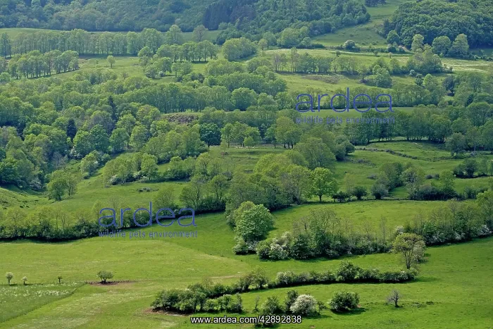  : France - landscape