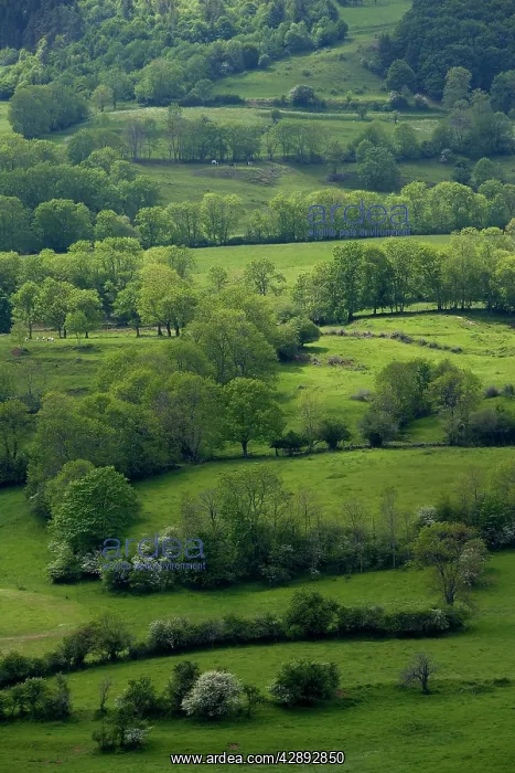  : France - landscape