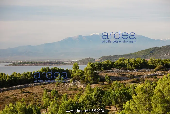 : France, Languedoc-Roussillon, Aude Department : France, Languedoc-Roussillon, Aude Department
