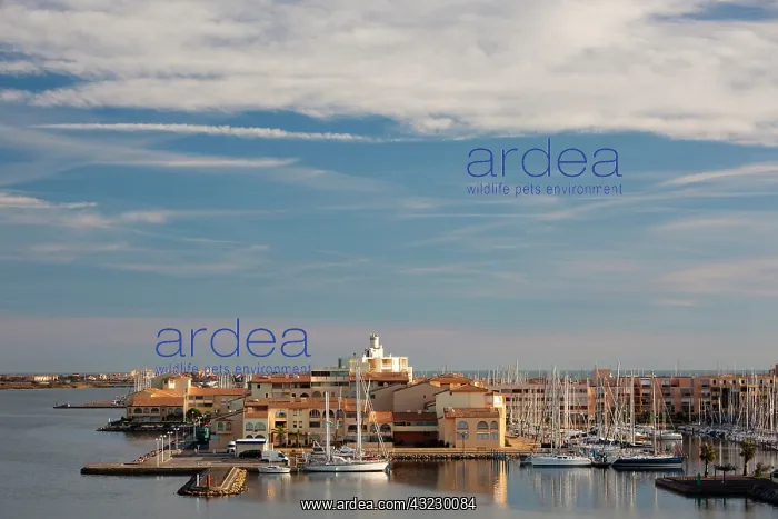 : France, Languedoc-Roussillon, Aude Department : France, Languedoc-Roussillon, Aude Department