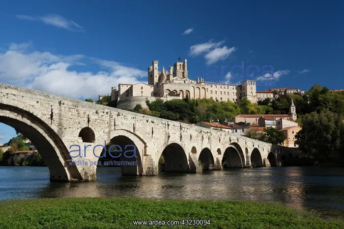 : France, Languedoc-Roussillon, Herault Department : France, Languedoc-Roussillon, Herault Department