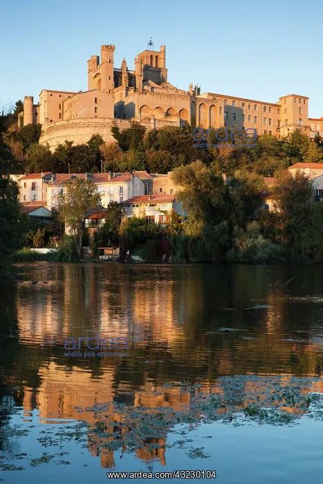 : France, Languedoc-Roussillon, Herault Department : France, Languedoc-Roussillon, Herault Department