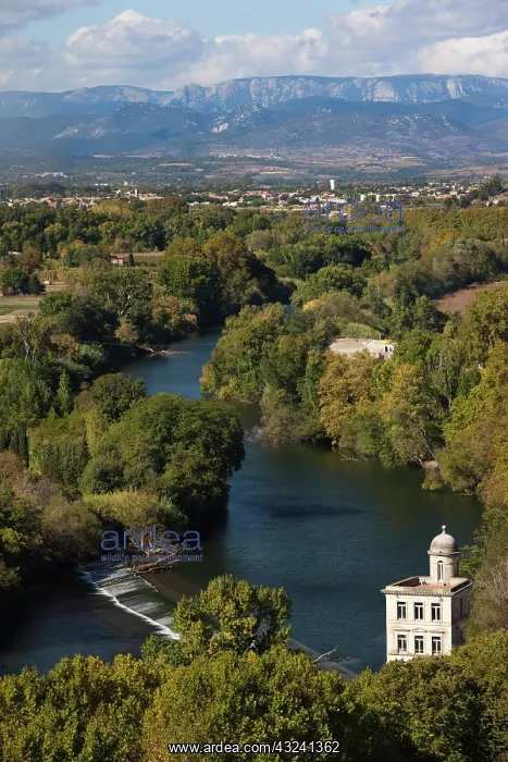 : France, Languedoc-Roussillon, Herault Department : France, Languedoc-Roussillon, Herault Department