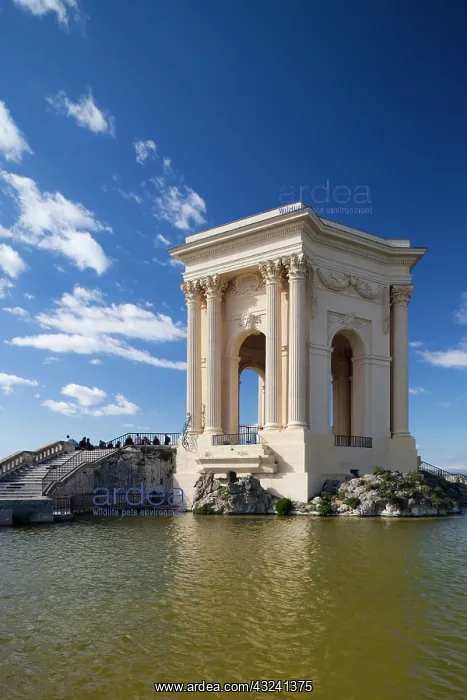 : France, Languedoc-Roussillon, Herault Department : France, Languedoc-Roussillon, Herault Department