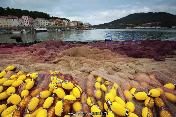 : France, Languedoc-Roussillon, Pyrennes-Orientales : France, Languedoc-Roussillon, Pyrennes-Orientales
