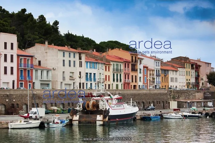 : France, Languedoc-Roussillon, Pyrennes-Orientales : France, Languedoc-Roussillon, Pyrennes-Orientales