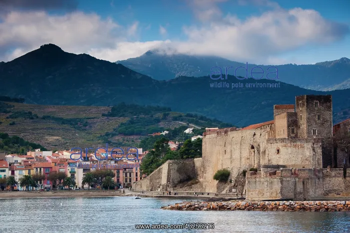 : France, Languedoc-Roussillon, Pyrennes-Orientales : France, Languedoc-Roussillon, Pyrennes-Orientales