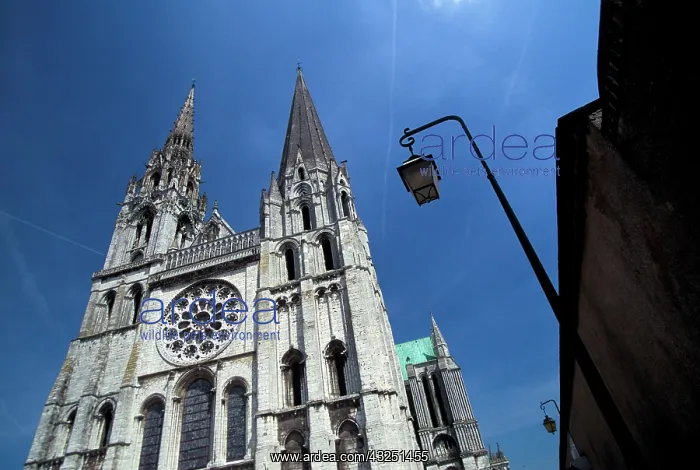 : France, Loire, Chartres. Chartres Cathedral : France, Loire, Chartres. Chartres Cathedral