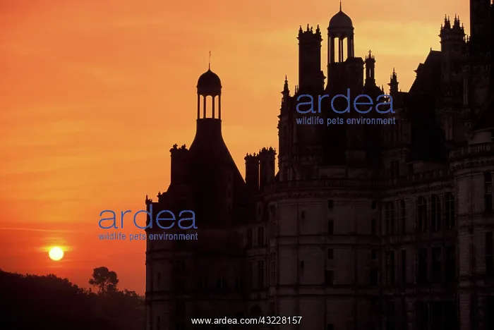 : France, Loire Valley. Chateau de Chambord : France, Loire Valley. Chateau de Chambord