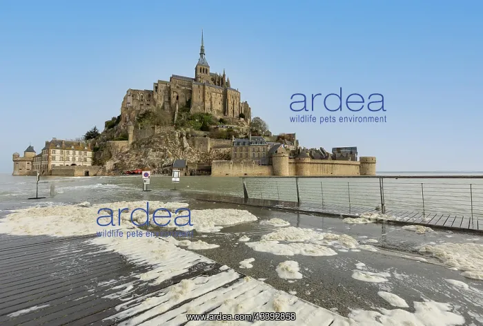  : France, Manche (50), Baie du Mont-Saint-Michel