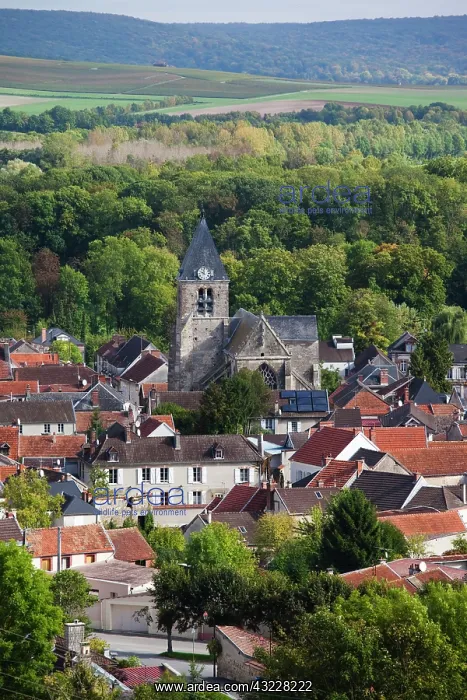 : France, Marne, Champagne Ardenne, Avenay : France, Marne, Champagne Ardenne, Avenay