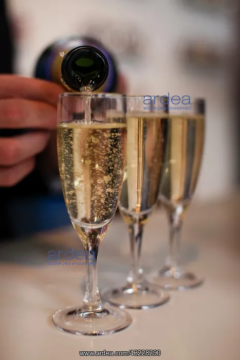 : France, Marne, Champagne Ardenne, Reims : France, Marne, Champagne Ardenne, Reims