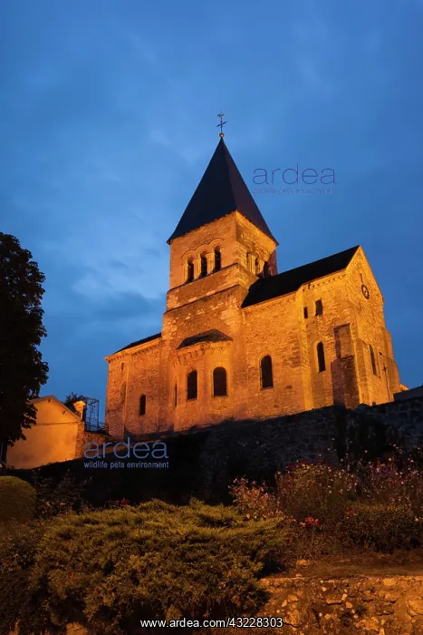 : France, Marne, Champagne Ardenne, town church : France, Marne, Champagne Ardenne, town church