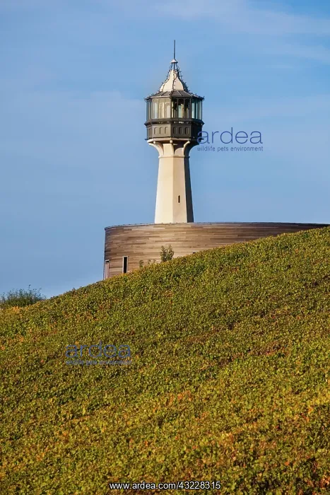 : France, Marne, Champagne Ardenne, Verzenay : France, Marne, Champagne Ardenne, Verzenay
