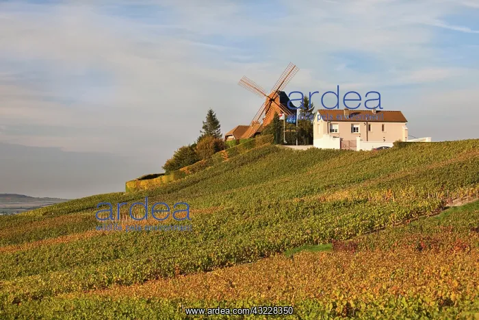 : France, Marne, Champagne Ardenne, Verzenay : France, Marne, Champagne Ardenne, Verzenay