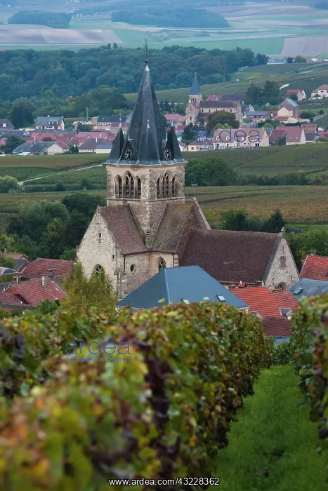 : France, Marne, Champagne Ardenne, Ville : France, Marne, Champagne Ardenne, Ville
