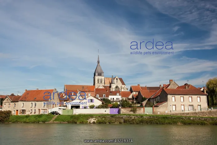  : France, Marne, Champagne Region, Damery