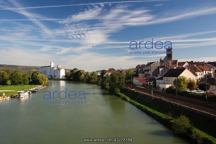 : France, Marne, Champagne Region, Dormans : France, Marne, Champagne Region, Dormans