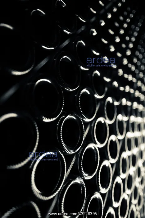 : France, Marne, Champagne Region, Epernay : France, Marne, Champagne Region, Epernay