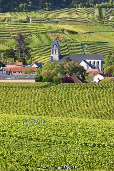 : France, Marne, Champagne Region, Oger, town : France, Marne, Champagne Region, Oger, town