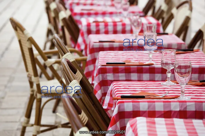 : France, Meurthe-et-Moselle, Lorraine Region : France, Meurthe-et-Moselle, Lorraine Region