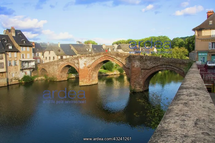 : France, Midi-Pyrenees, Aveyron Department : France, Midi-Pyrenees, Aveyron Department
