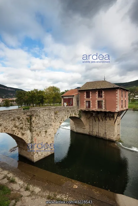 : France, Midi-Pyrenees Region, Aveyron Department : France, Midi-Pyrenees Region, Aveyron Department