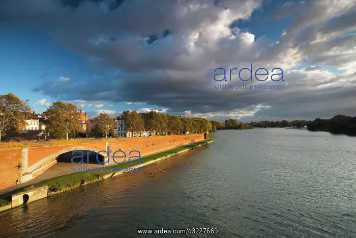 : France, Midi-Pyrenees Region, Haute-Garonne : France, Midi-Pyrenees Region, Haute-Garonne