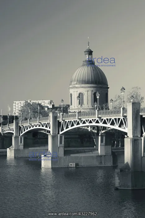 : France, Midi-Pyrenees Region, Haute-Garonne : France, Midi-Pyrenees Region, Haute-Garonne
