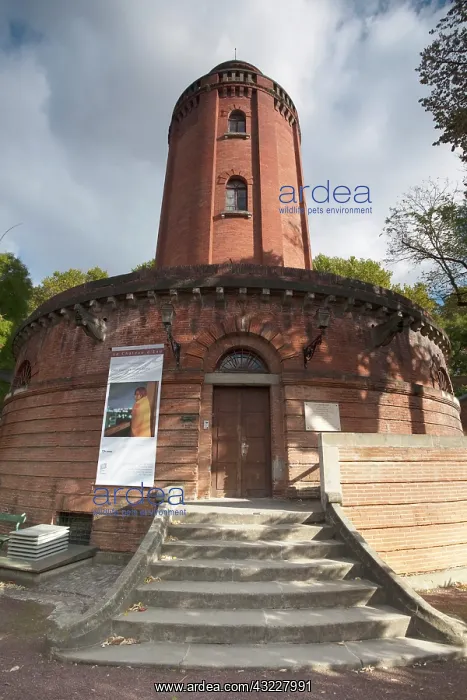 : France, Midi-Pyrenees Region, Haute-Garonne : France, Midi-Pyrenees Region, Haute-Garonne