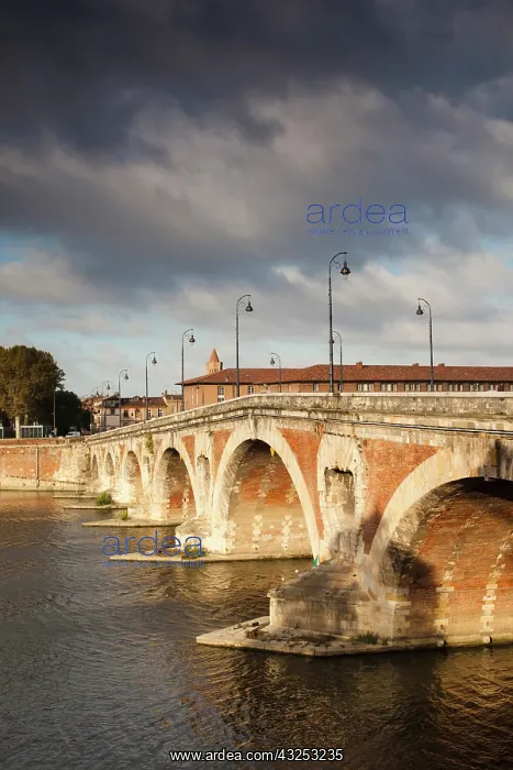  : France, Midi-Pyrenees Region, Haute-Garonne