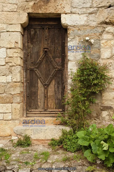 : France, Midi-Pyrenees Region, Lot Department : France, Midi-Pyrenees Region, Lot Department
